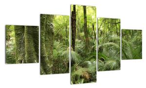 Obraz tropikalnego lasu deszczowego (125x70 cm)