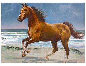 Obraz konia na plaży (70x50 cm)