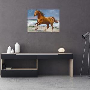 Obraz konia na plaży (70x50 cm)