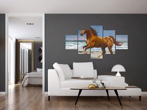 Obraz konia na plaży (125x70 cm)