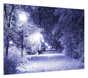 Obraz - Magiczna zimowa noc (70x50 cm)