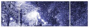 Obraz - Magiczna zimowa noc (170x50 cm)