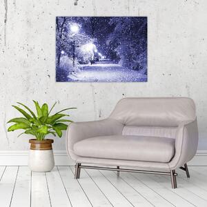 Obraz - Magiczna zimowa noc (70x50 cm)