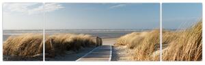 Obraz - Piaszczysta plaża na wyspie Langeoog, Niemcy (170x50 cm)