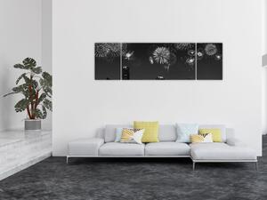 Obraz - Fajerwerki w Miami, czarno - białe (170x50 cm)