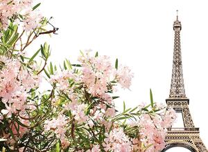 Fototapeta Wieża Eiffla i różowe kwiaty