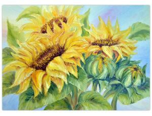 Obraz kwitnących słoneczników (70x50 cm)
