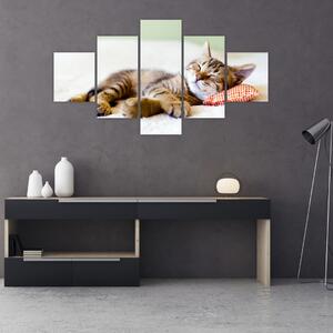 Obraz - Śpiący kotek (125x70 cm)