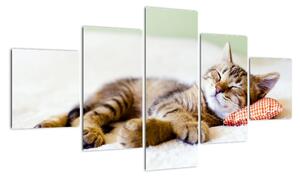 Obraz - Śpiący kotek (125x70 cm)