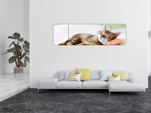 Obraz - Śpiący kotek (170x50 cm)