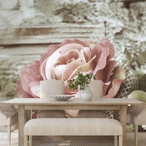 Fototapeta elegancka róża w stylu vintage