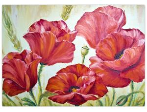 Obraz - Kwiaty maku (70x50 cm)