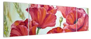 Obraz - Kwiaty maku (170x50 cm)