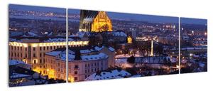 Obraz - Katedra św. Piotra i Pawła, Brno, Czechy (170x50 cm)
