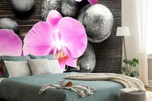 Fototapeta piękna orchidea i kamienie
