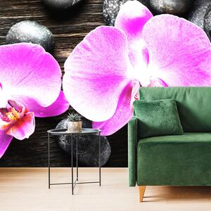 Samoprzylepna fototapeta piękna orchidea i kamienie