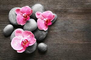 Fototapeta Kompozycja Zen z orchideą