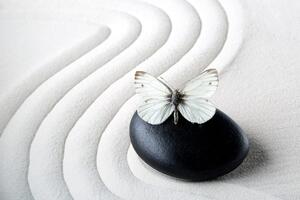 Tapeta Kamień Zen z motylem
