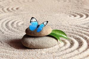 Samoprzylepna fototapeta niebieski motyl na kamieniu Zen
