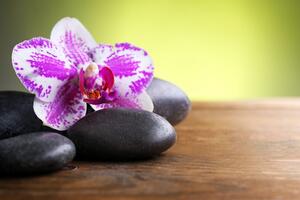 Fototapeta orchidea i czarne kamienie