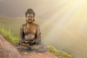 Tapeta posąg Buddy w pozycji medytacyjnej