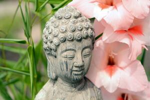 Fototapeta posąg Buddy w ogrodzie Zen
