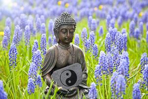 Fototapeta yin i yang Budda