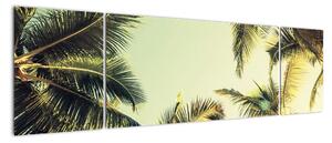 Obraz z palmami kokosowymi (170x50 cm)