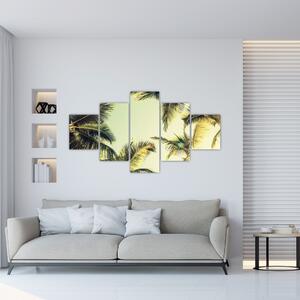 Obraz z palmami kokosowymi (125x70 cm)