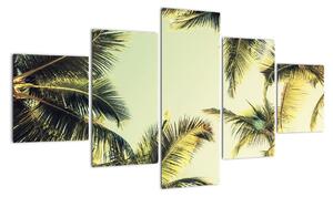 Obraz z palmami kokosowymi (125x70 cm)