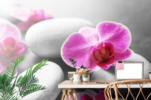 Fototapeta kwiaty orchidei na kamieniach