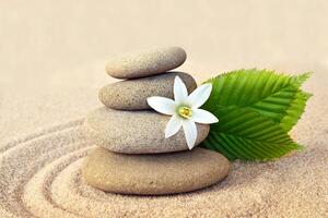 Fototapeta biały kwiat i kamienie na piasku