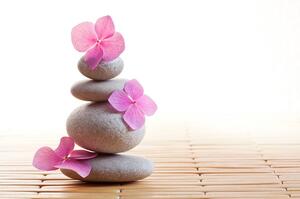 Fototapeta balans kamieni i różowe kwiaty