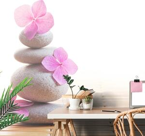 Fototapeta balans kamieni i różowe kwiaty
