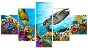 Obraz rafy koralowej (125x70 cm)