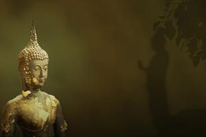 Samoprzylepna tapeta Budda i jego odbicie