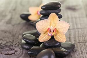 Fototapeta orchidea i Zen kamienie