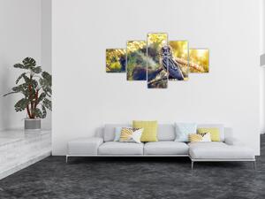 Obraz sowy na drzewie (125x70 cm)