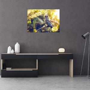 Obraz sowy na drzewie (70x50 cm)