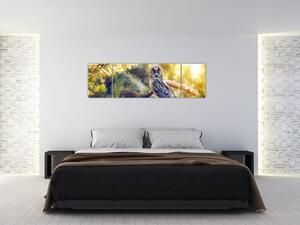 Obraz sowy na drzewie (170x50 cm)