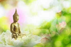 Tapeta harmonia buddyzmu