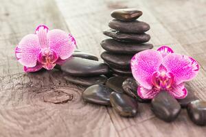 Samoprzylepna fototapeta orchidea i zen kamienie na drewnie