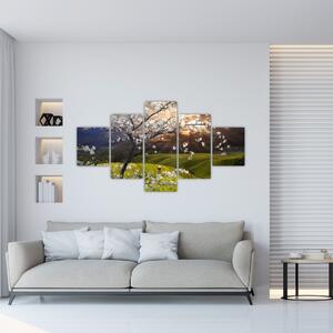 Obraz - Kwitnące drzewo w krajobrazie (125x70 cm)