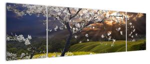 Obraz - Kwitnące drzewo w krajobrazie (170x50 cm)