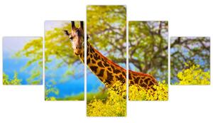 Obraz żyrafy w Afryce (125x70 cm)