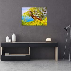 Obraz żyrafy w Afryce (70x50 cm)