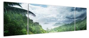 Obraz - Dżungla Seszeli (170x50 cm)