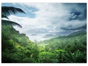 Obraz - Dżungla Seszeli (70x50 cm)