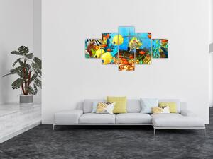 Obraz - Kolorowa rafa koralowa (125x70 cm)