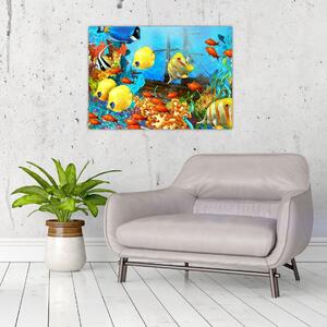 Obraz - Kolorowa rafa koralowa (70x50 cm)